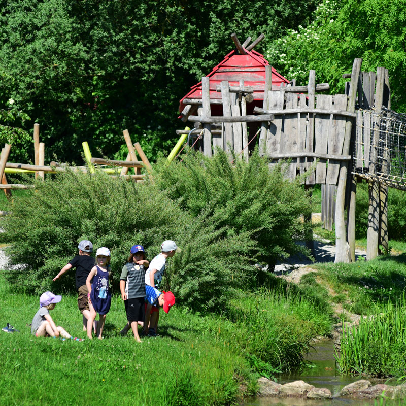 Mehrere Kinder im Grünen vor einem Kletterturm aus Holz