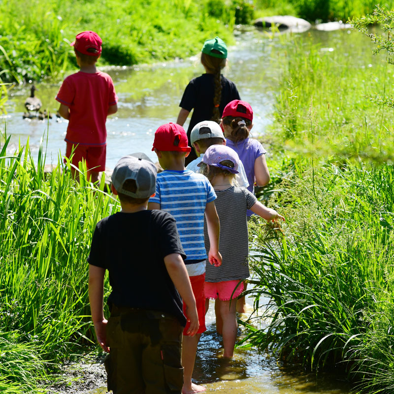 Kinder laufen zwischen Gräsern durch ein Rinnsal