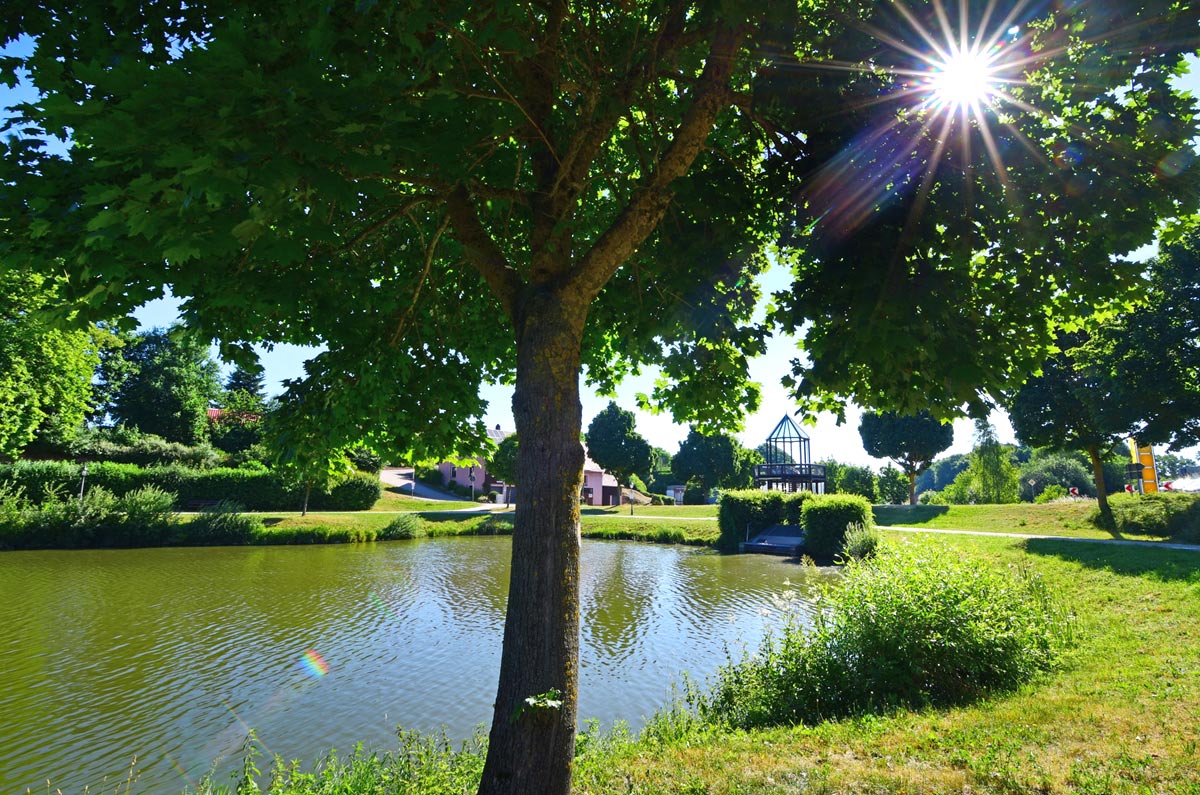 Idyllische Ansicht eines Baums vor einem See