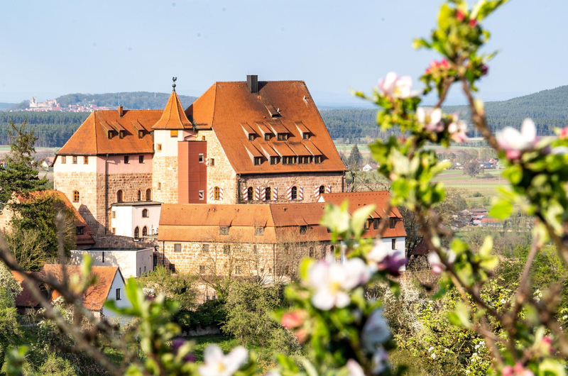 Frontaufnahme der Burg Wernfels, im Vordergrund verschwommene Kirschblüten