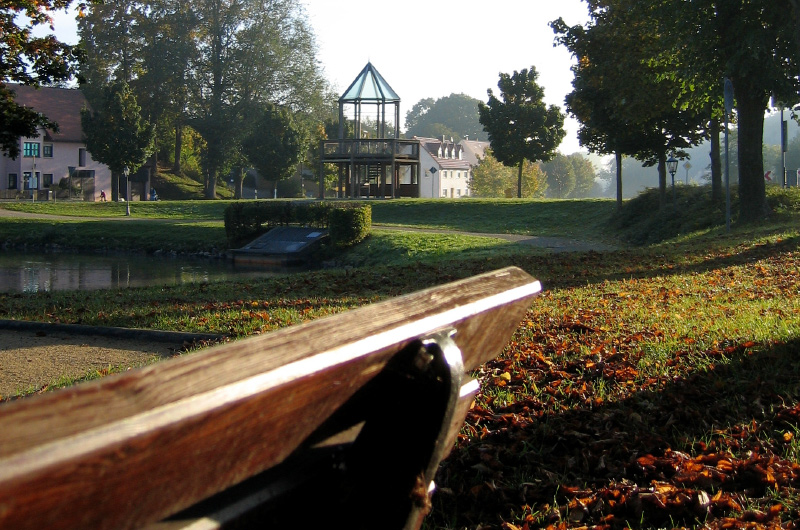 Holzbank im Stadtpark