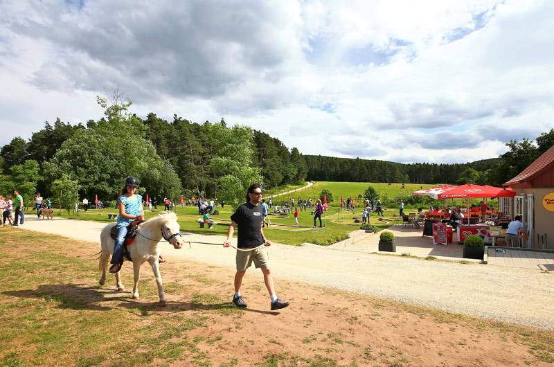Mann führt sein Kind auf einem Pony