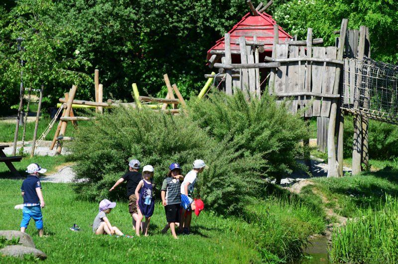 Mehrere Kinder im Grünen vor einem Kletterturm aus Holz