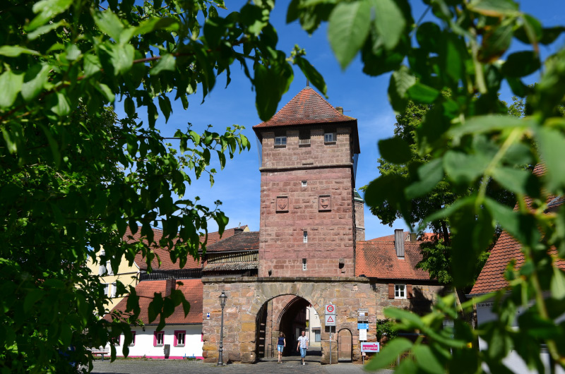 Foto auf ein historisches Stadttor durch einen grün bewachsenen Bogen
